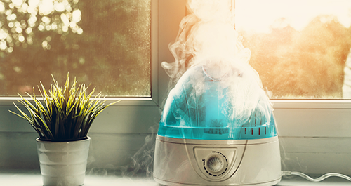 Portable air humidifier with mist