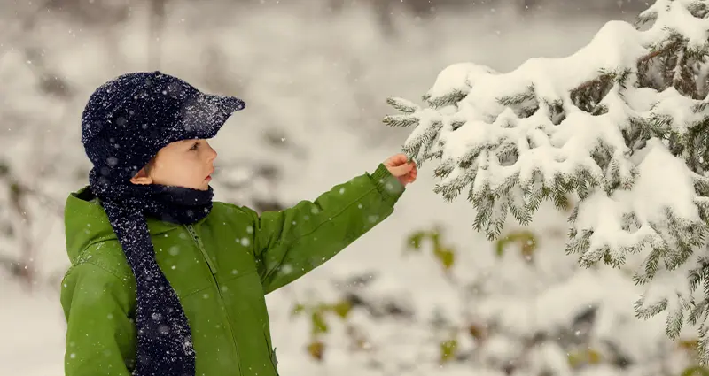 A young boy in a green jacket and hat gently touches the trunk of a tree in a natural outdoor setting.