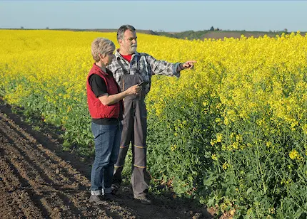 A man and a woman stand together in a green field, surrounded by tall grass and a clear blue sky.