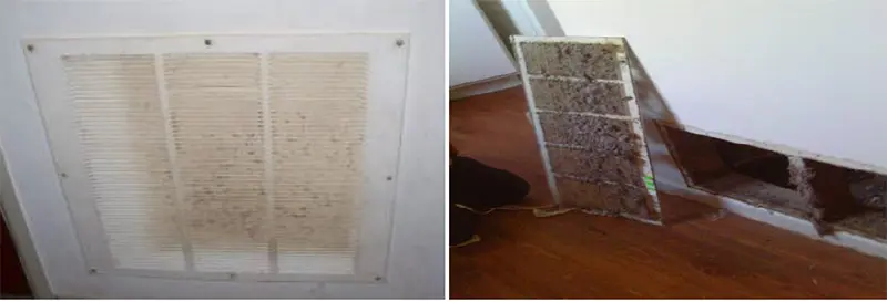 Two images showing a room with visible mold growth on the walls, highlighting the extent of the mold issue.