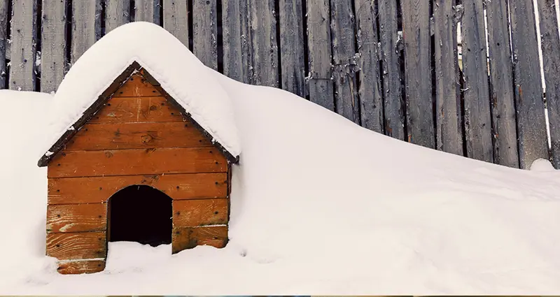 A dog house partially buried in deep snow, with only the roof visible above the white blanket.