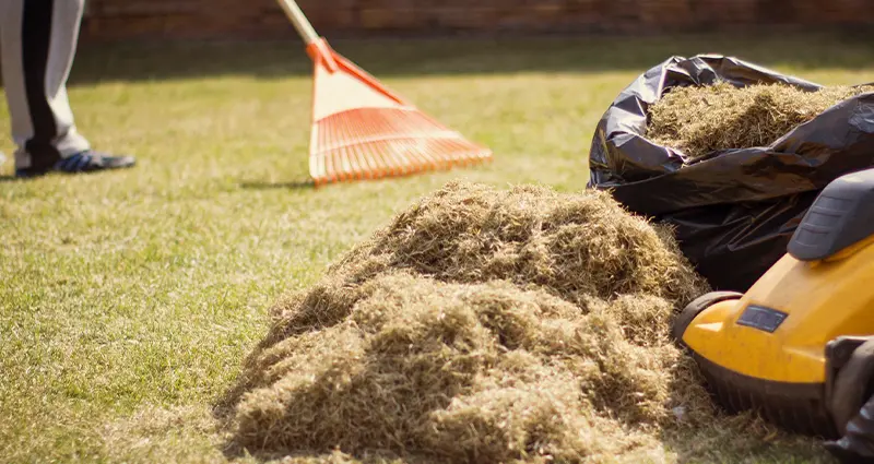 A yellow lawn mower positioned beside a bag of hay, set against a backdrop of green grass.