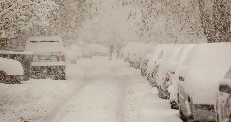 A snowy street with parked cars, their surfaces blanketed in white snow, creating a serene winter scene.