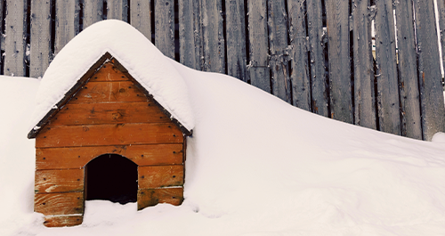 Dog house covered in snow