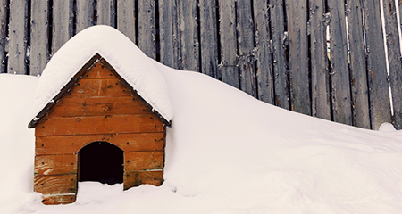 Dog house covered in snow 