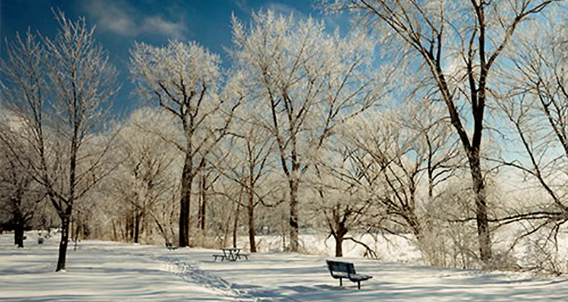 Winter scene with bare trees, snow and park bench