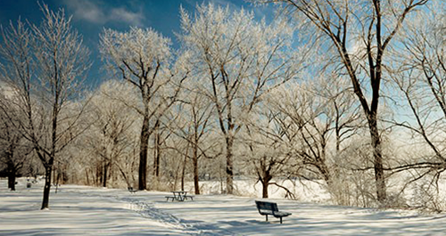 Winter scene with bare trees, snow and park bench