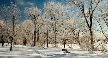 Winter scene with bare trees, snow and park bench