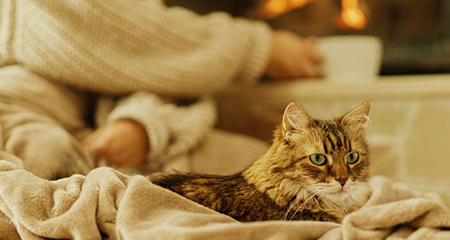 Person in front of fire with blanket, mug, and cat on lap.
