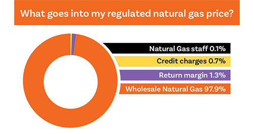 what goes into a natural gas price chart