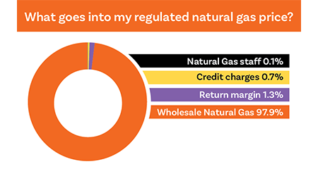what goes into a natural gas price chart